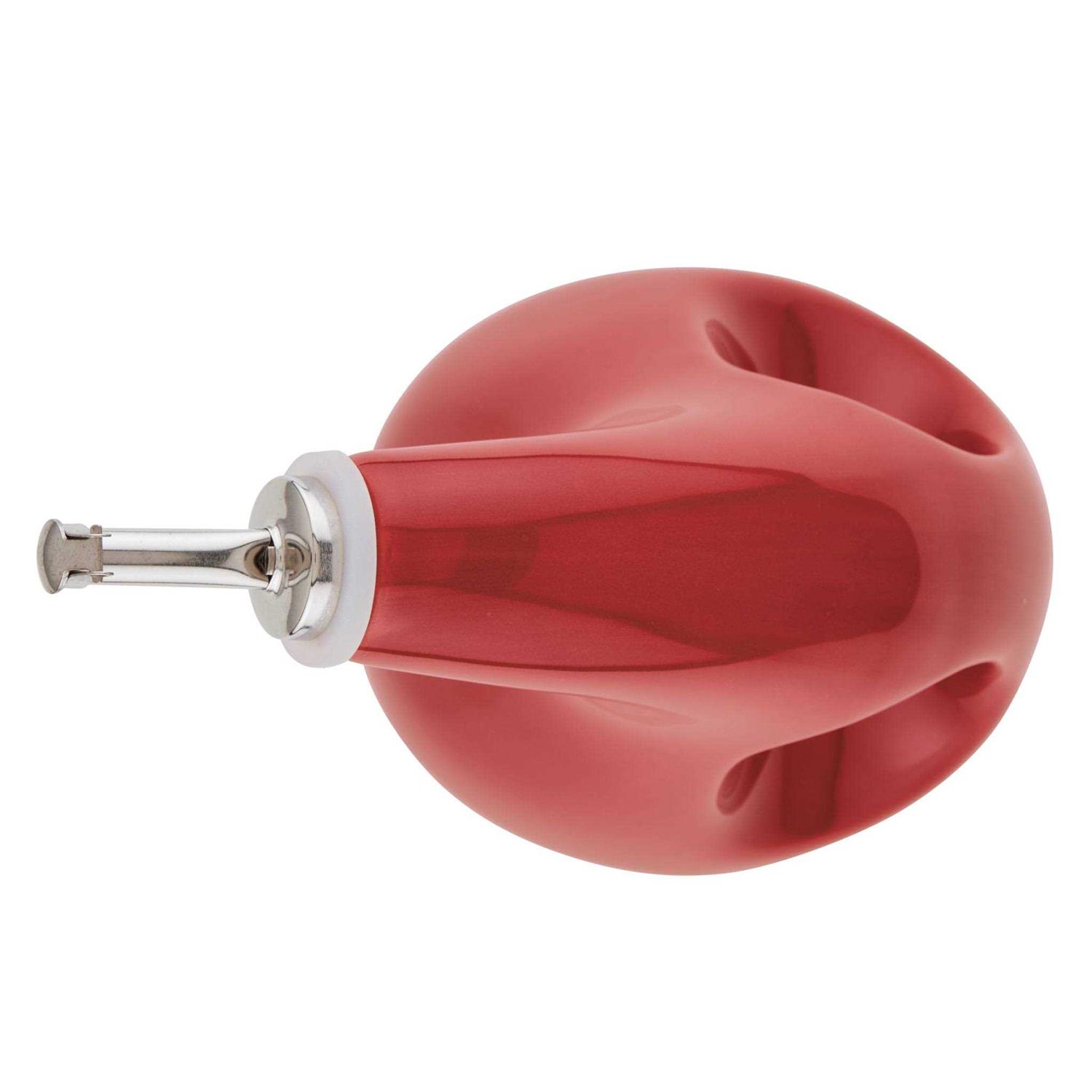 Rachael Ray Evoo Oil Dispensing Bottle - Image 2