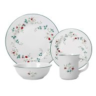 Pfaltzgraff Winterberry 16 Piece Dinnerware Set