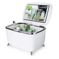 Personal Chiller 6L Cosmetics Skin Care Vanity Mini Refrigerator