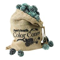 Plow & Hearth Color-Changing Fireplace Cones