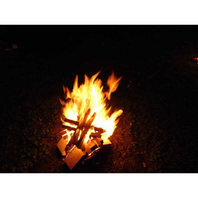 BIO Block Hardwood Kindling 5.5 lb BIO-KIN-A - Image 5