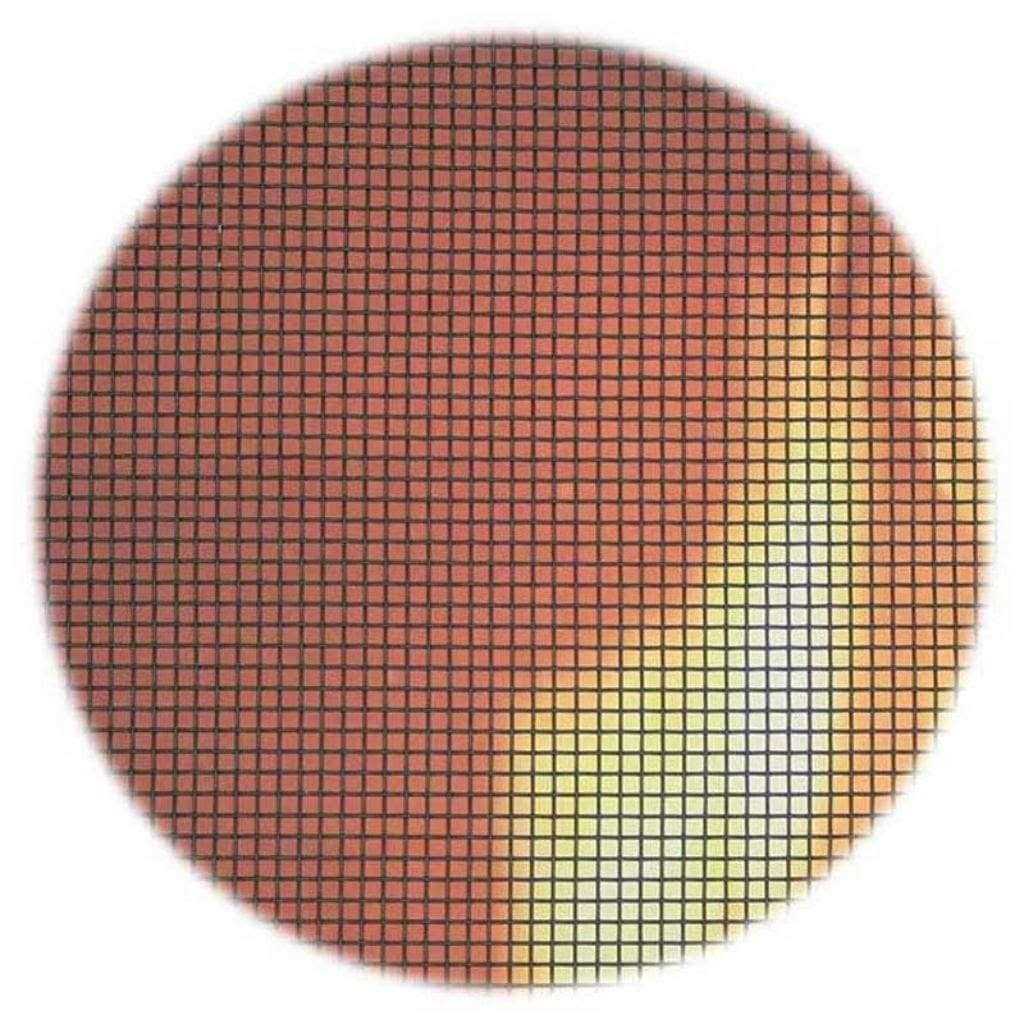 Pilgrim Spark Guard - Image 2