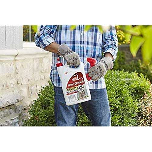 Ortho Home Defense Insect Killer - Image 3