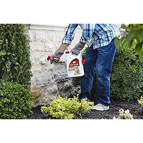 Ortho Home Defense Insect Killer - Image 5