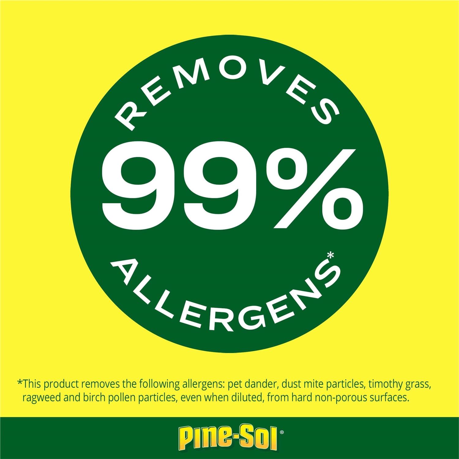 Pine-Sol Multi-Surface Cleaner - Image 2