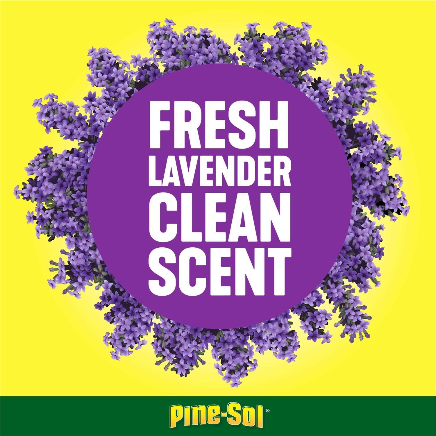 Pine-Sol Multi-Surface Cleaner - Image 3