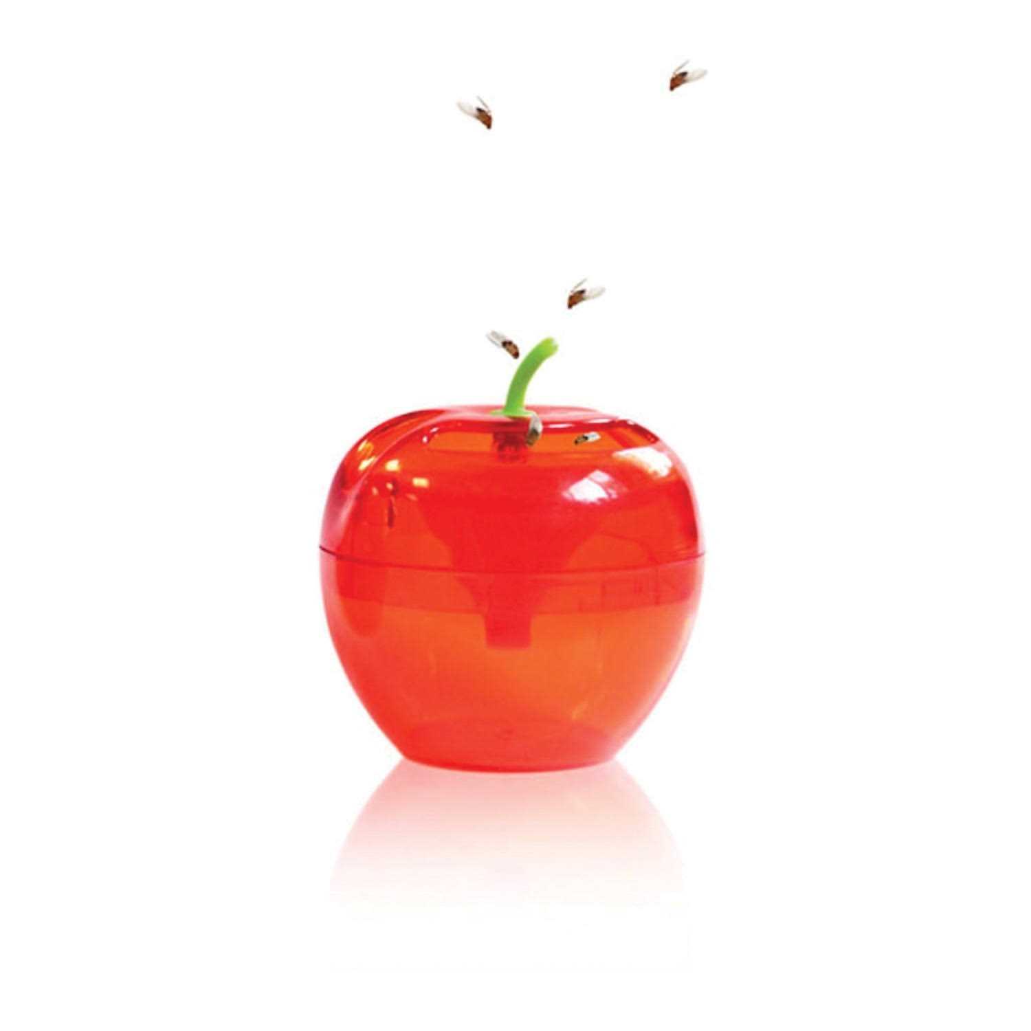 Raid Apple Fruit Fly Traps - Image 4
