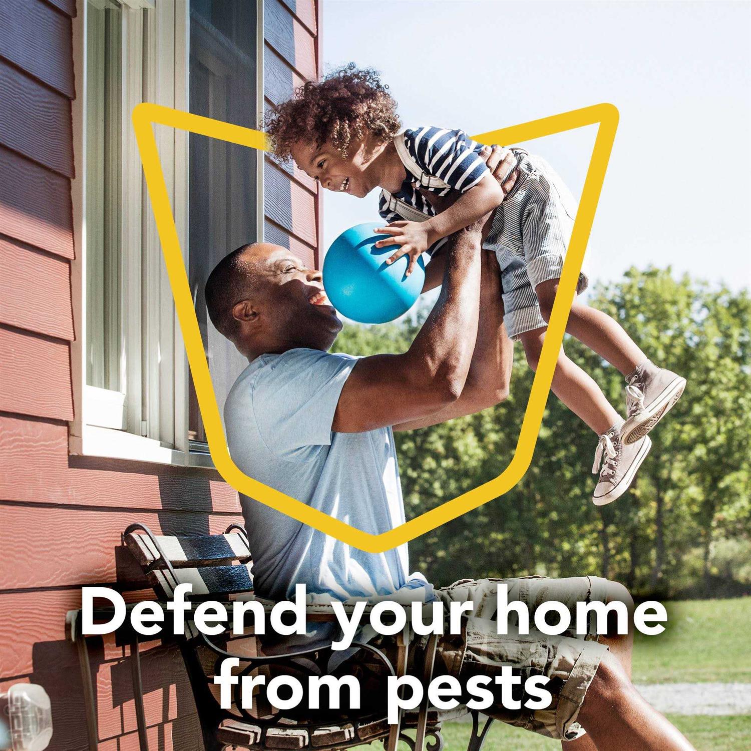 Raid Max Perimeter Protection - Image 4