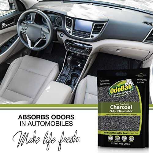 OdoBan Air Purifying Charcoal Natural Odor Eliminator Non-Toxic Formula - Image 3