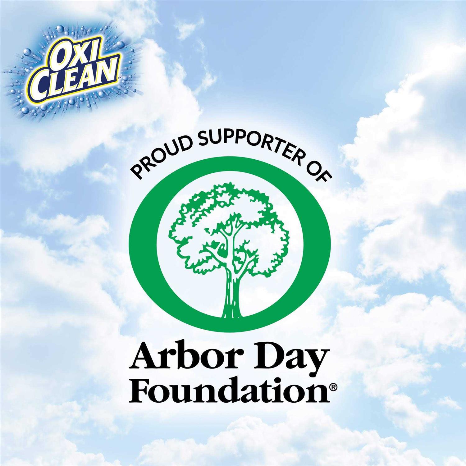 OxiClean Washing Machine Cleaner with Odor Blasters - Image 4