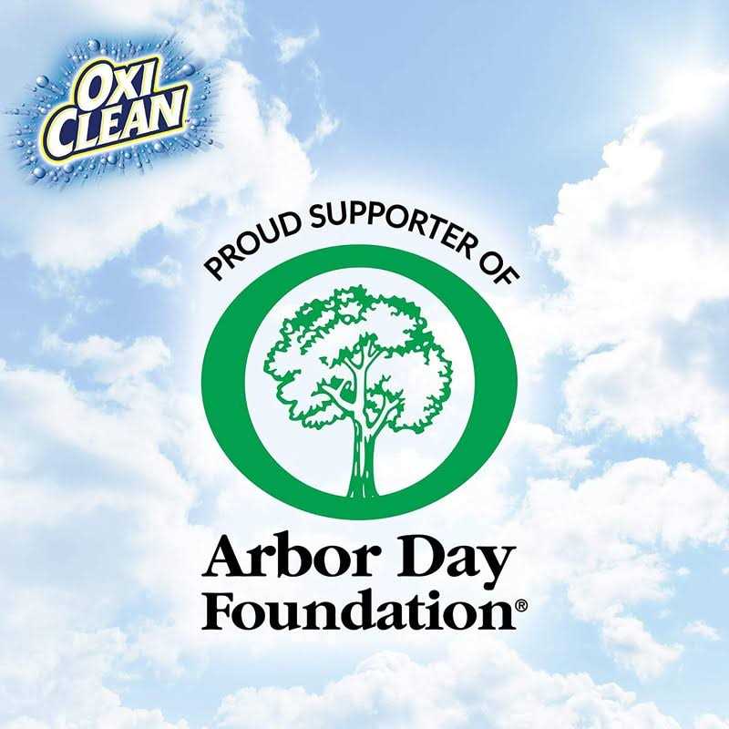 OxiClean Washing Machine Cleaner with Odor Blasters - Image 3