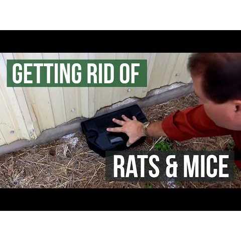 Protecta Evo Express Bait Station - Image 4