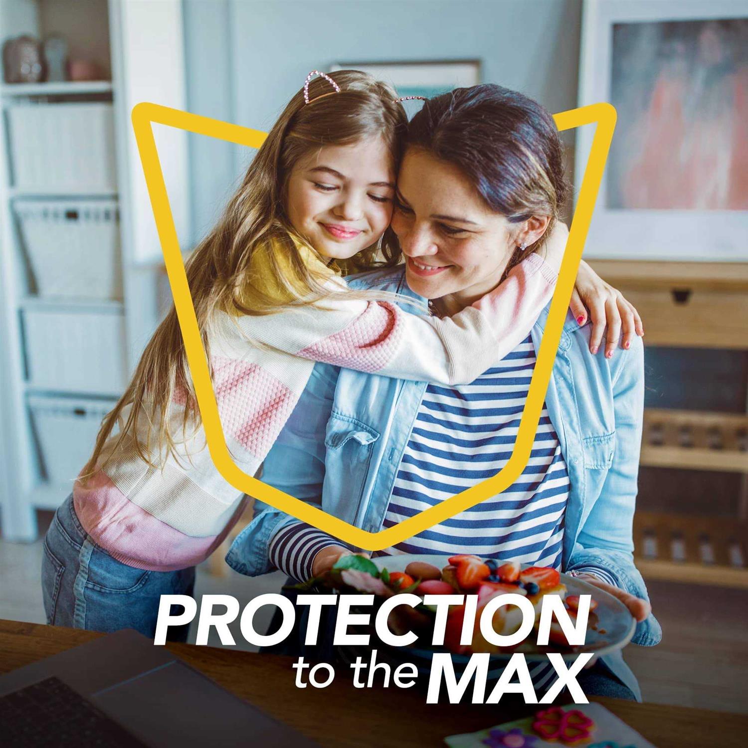 Raid Max Ant & Roach Killer - Image 4