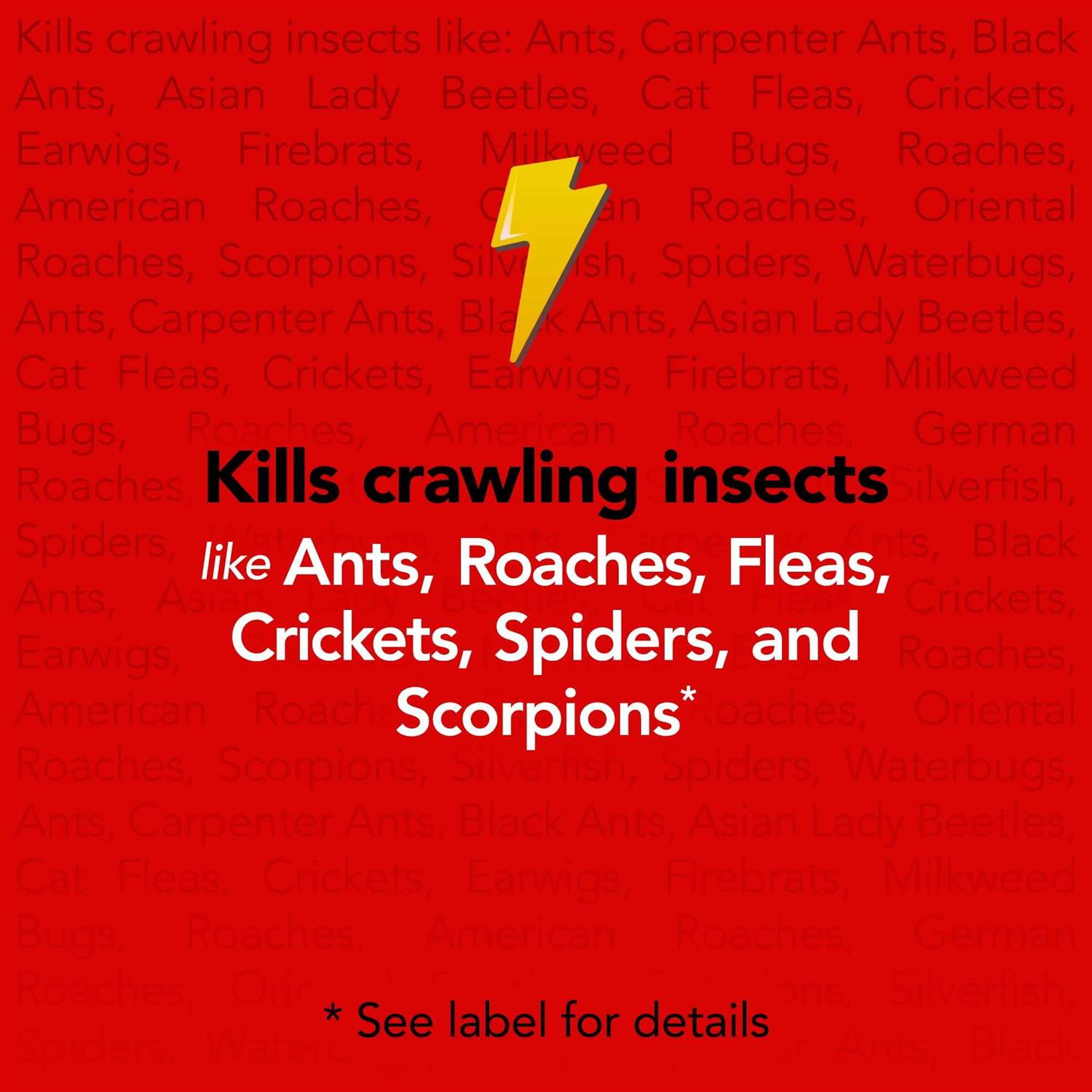 Raid Max Ant & Roach Killer - Image 5