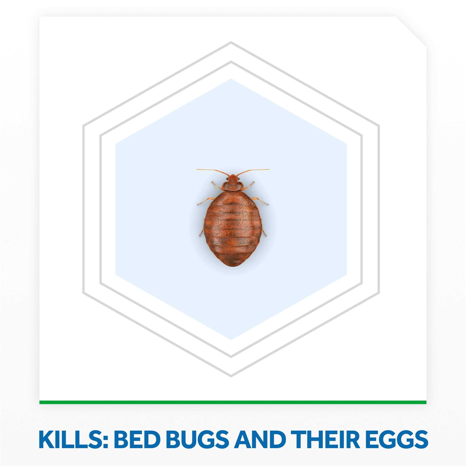 Raid Bed Bug Foaming Spray - Image 3