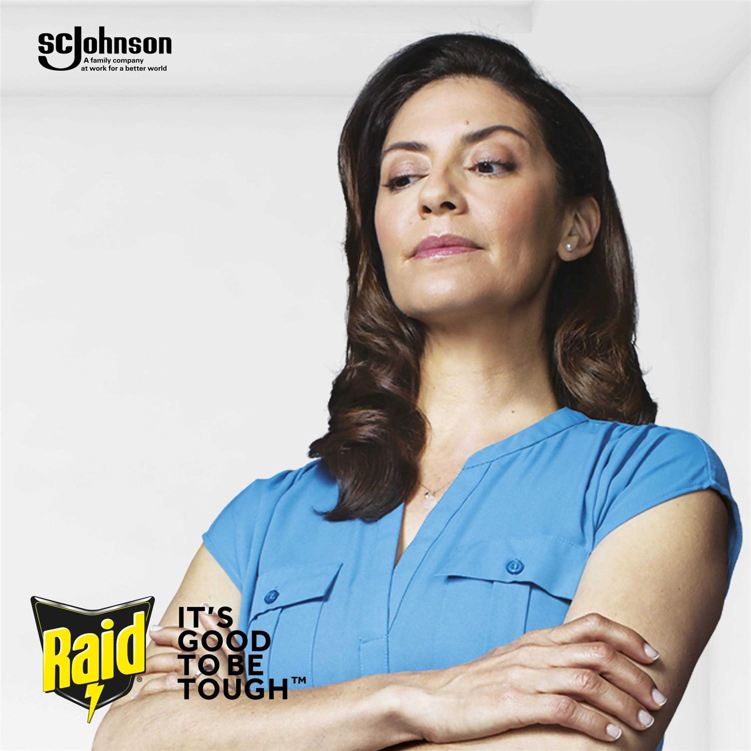 Raid Bed Bug Foaming Spray - Image 5