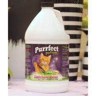 One Gallon Refill Bottle