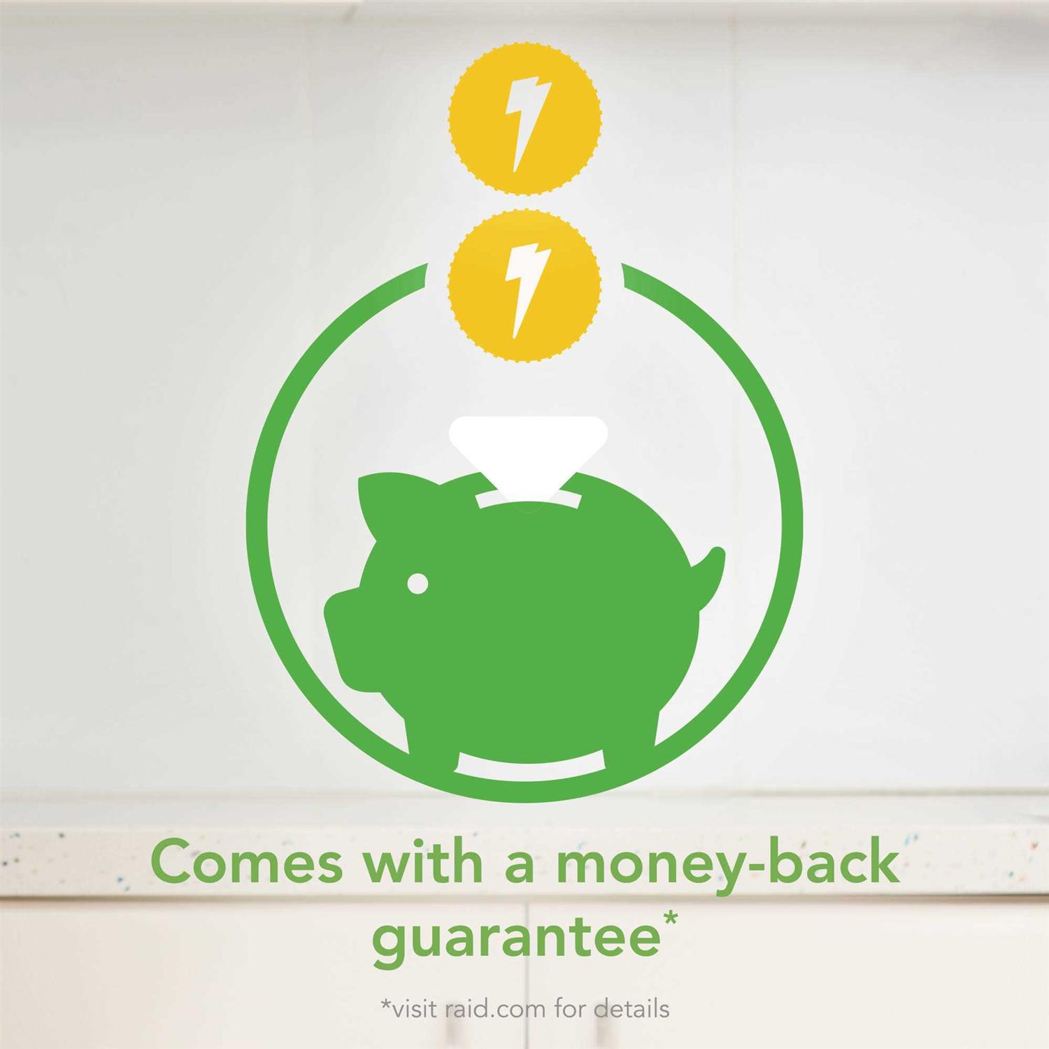 Raid Essentials Ant Roach Killer - Image 4