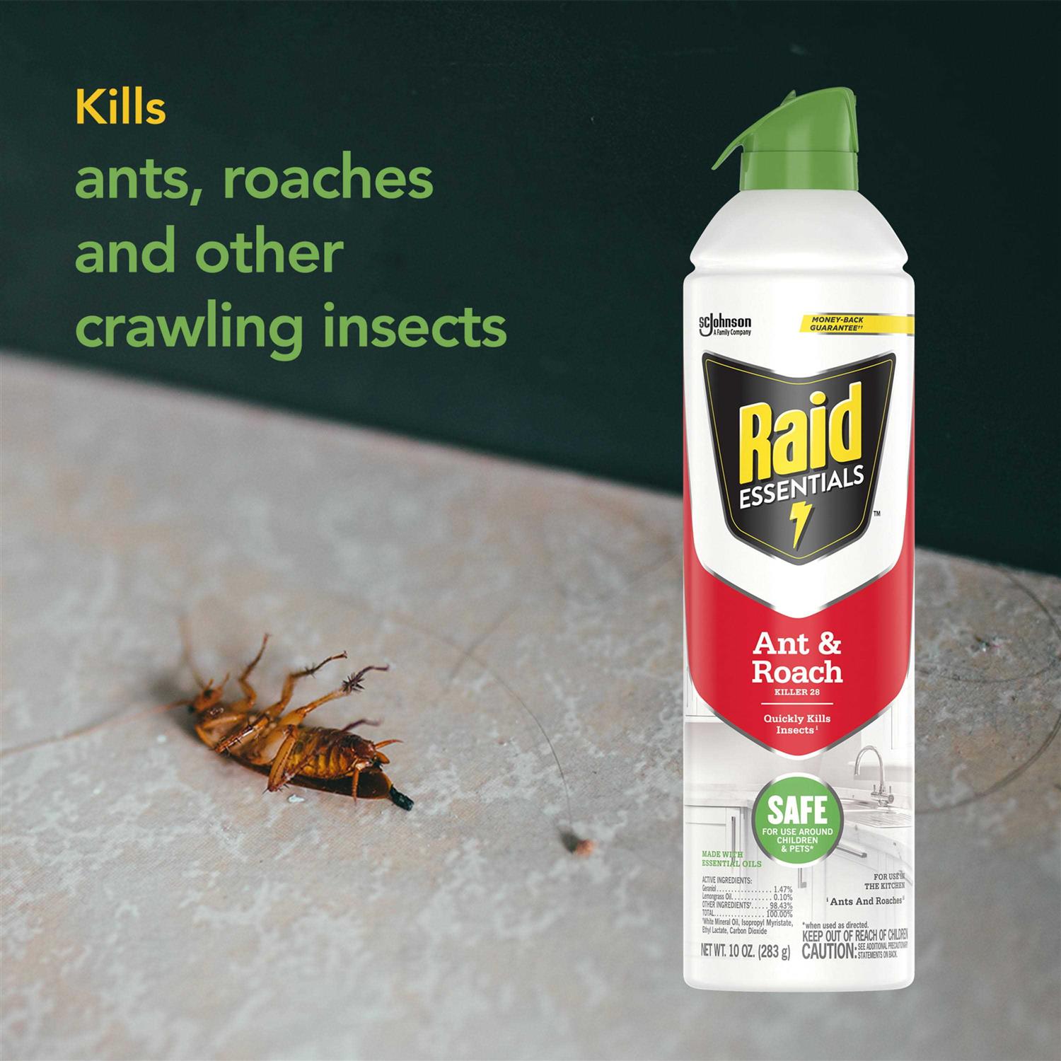 Raid Essentials Ant Roach Killer - Image 5