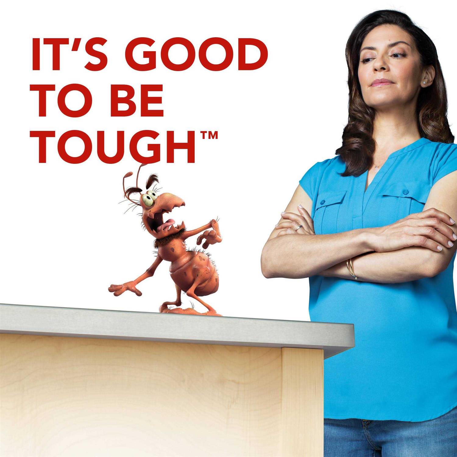 Raid Ant Baits - Image 2