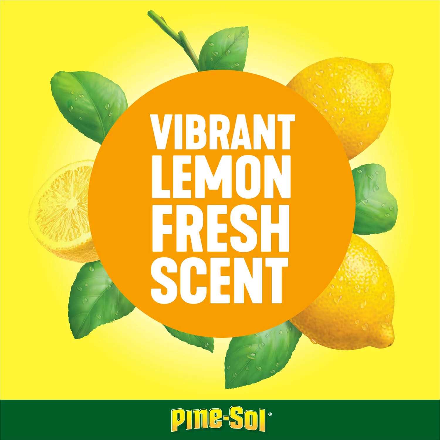 Pine Sol Cleaner Multi-Surface - Image 5