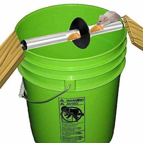 Odesos Mouse Trap Live Catch And Release Bucket Spin Roller With An Original Ring For Mice Rats Rodents Humane Auto Rolling Reset Safe For Children An