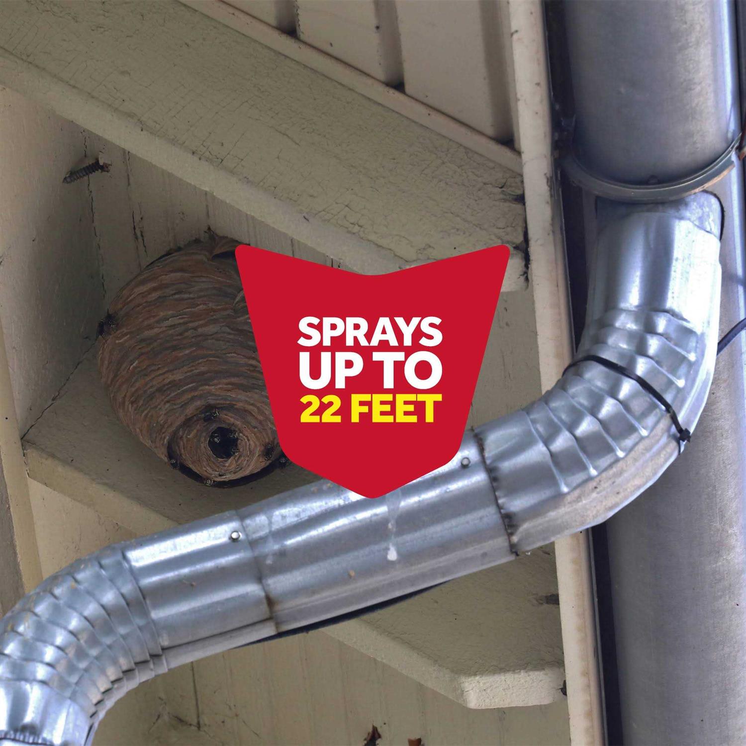 Raid Wasp Hornet Killer - Image 5