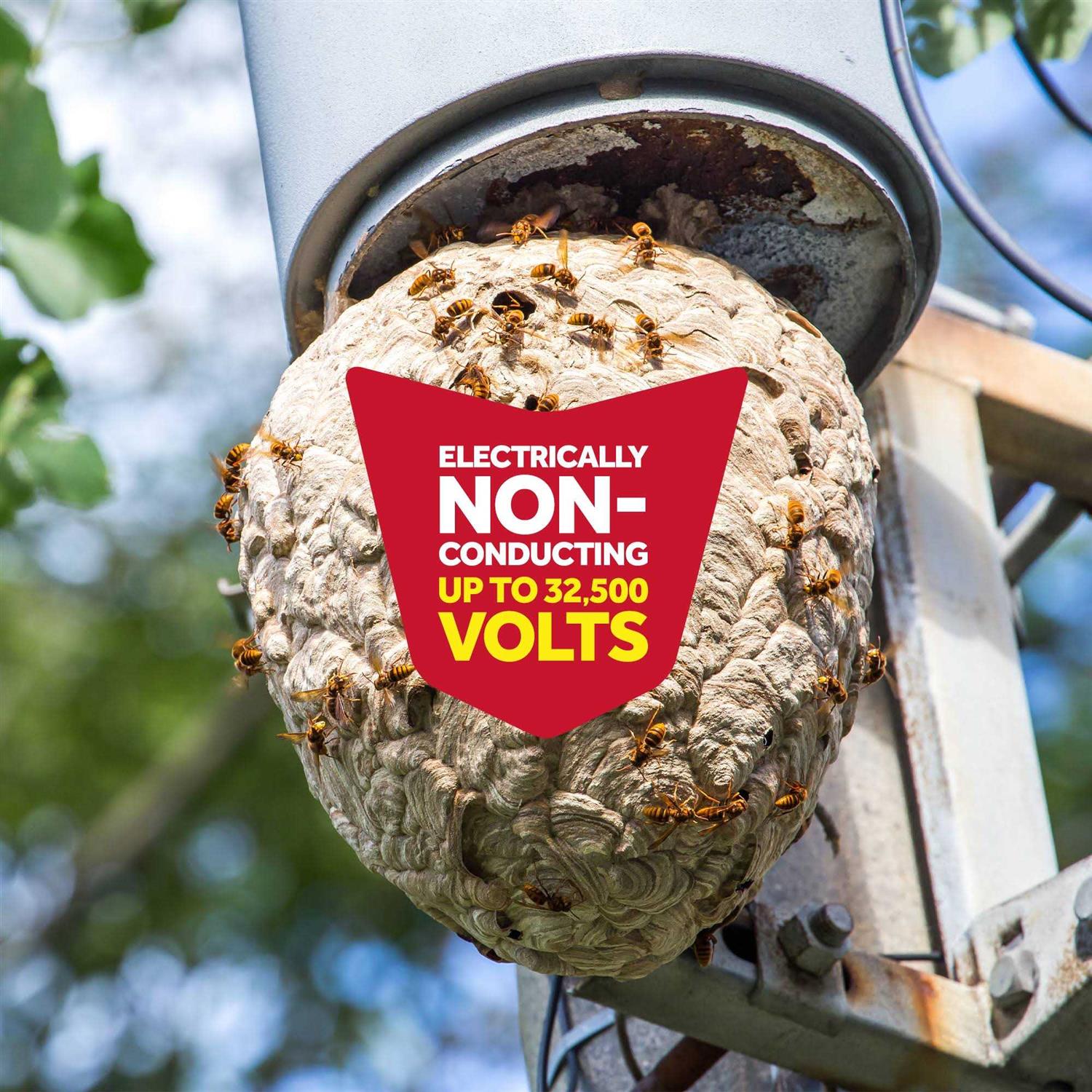 Raid Wasp Hornet Killer - Image 4