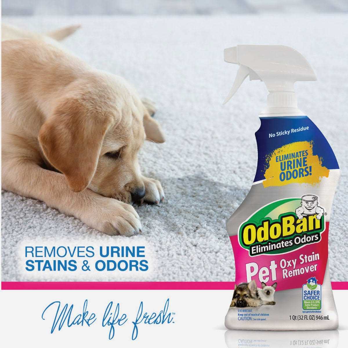OdoBan Pet Oxy Stain Remover - Image 2
