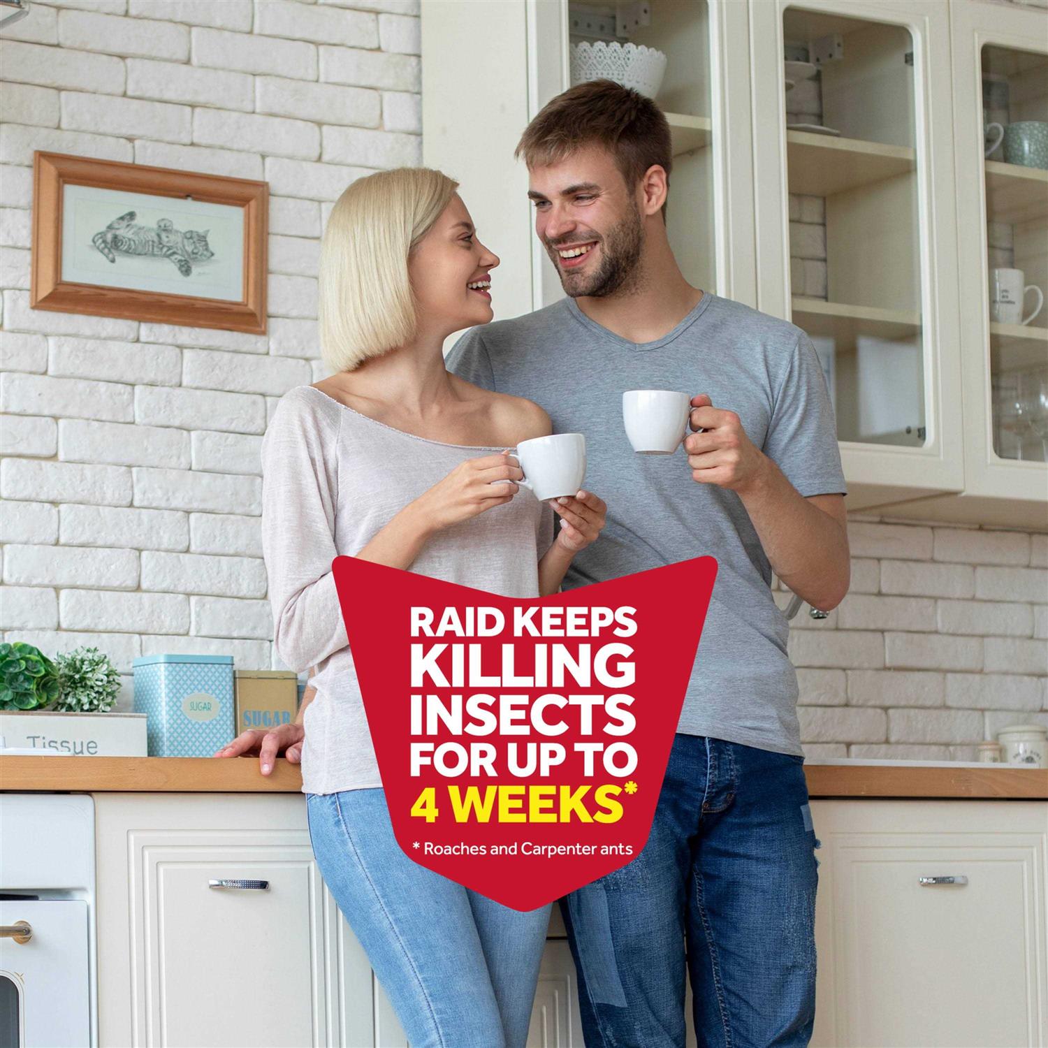 Raid Flying Insect Killer - Image 2