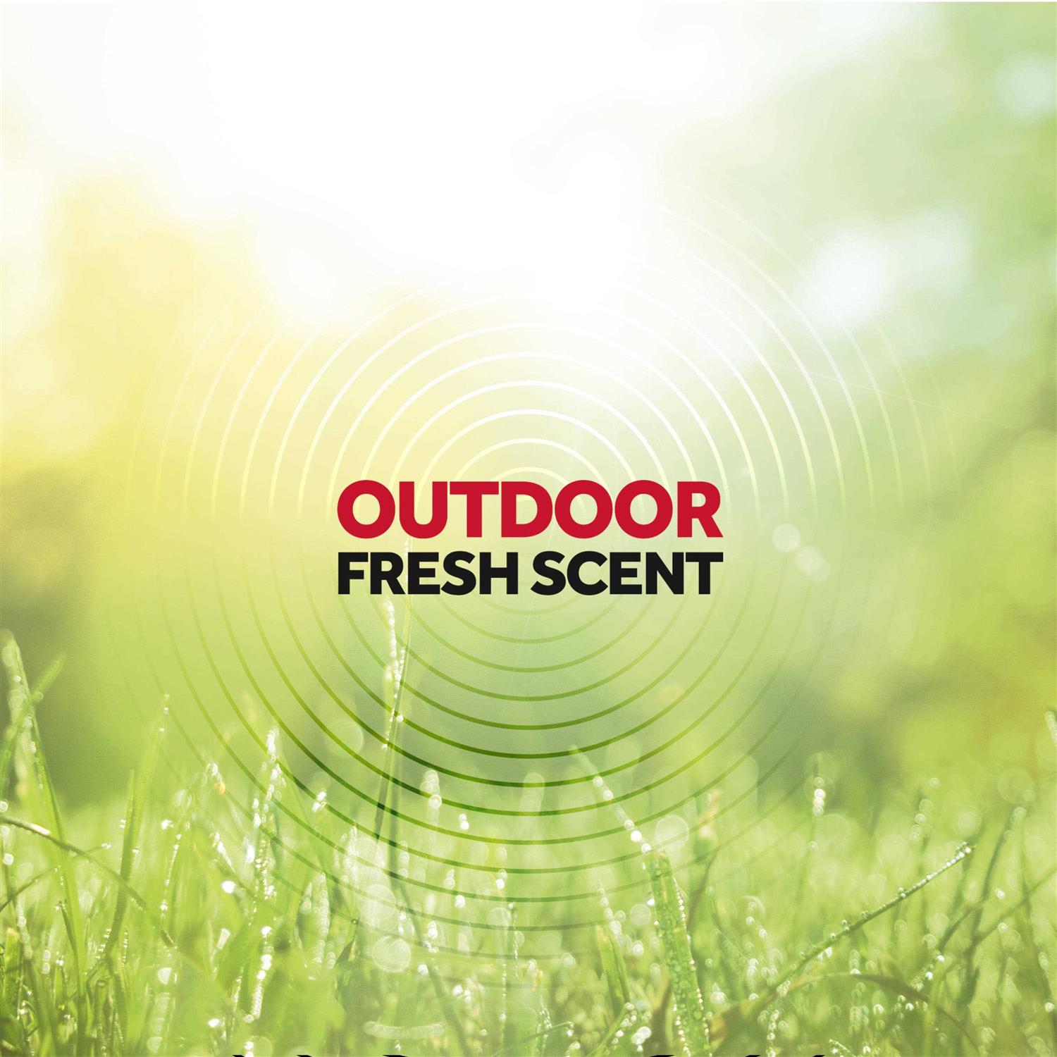 Raid Flying Insect Killer - Image 3