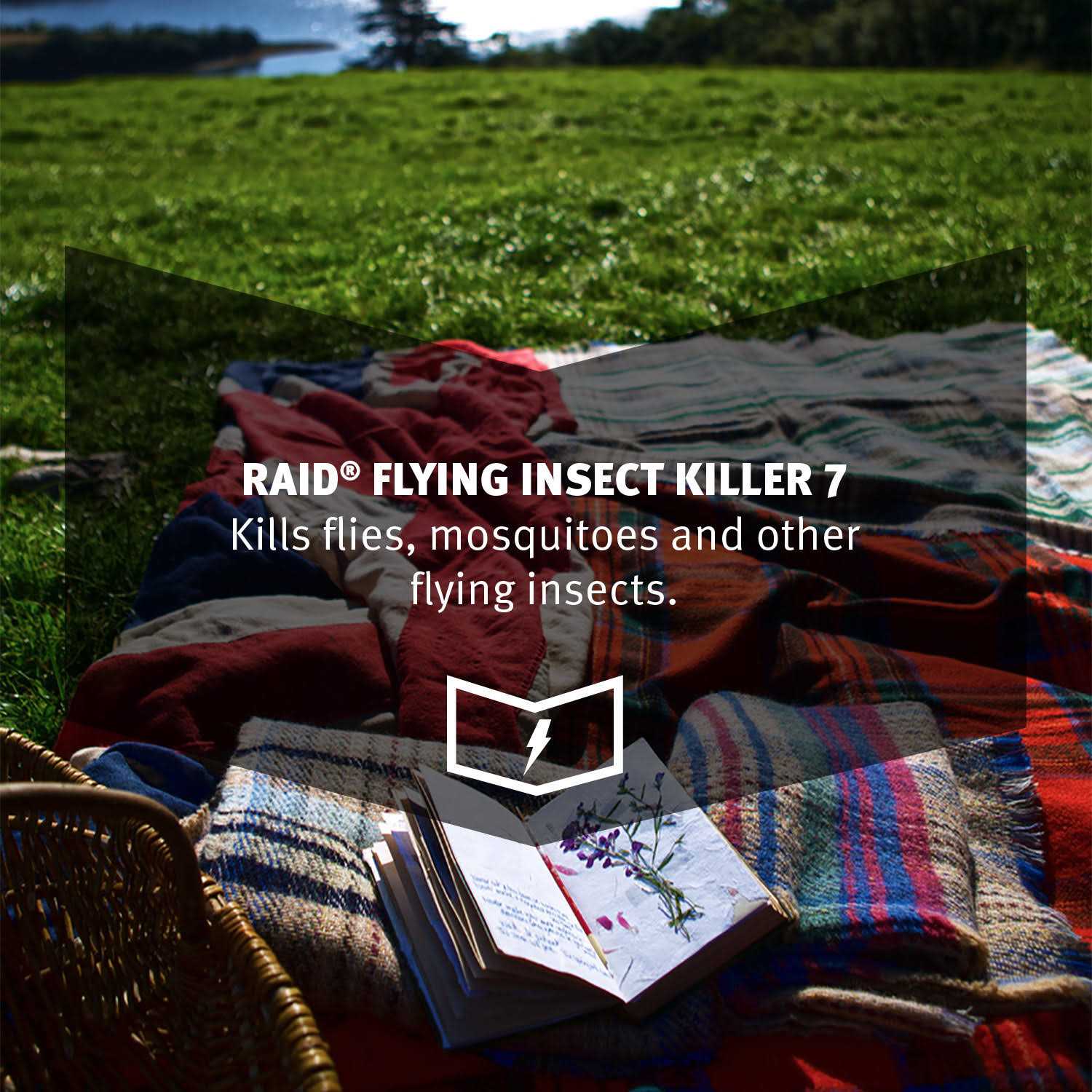 Raid Flying Insect Killer - Image 5