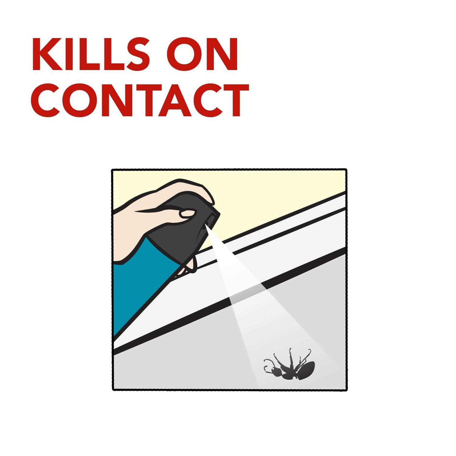 Raid Flying Insect Killer - Image 5