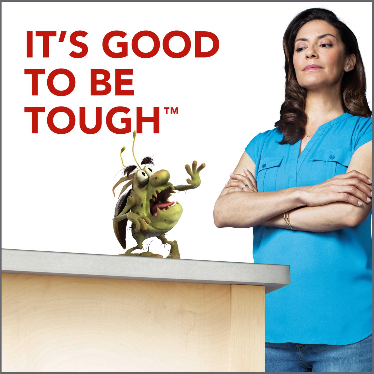 Raid Ant Gel - Image 2