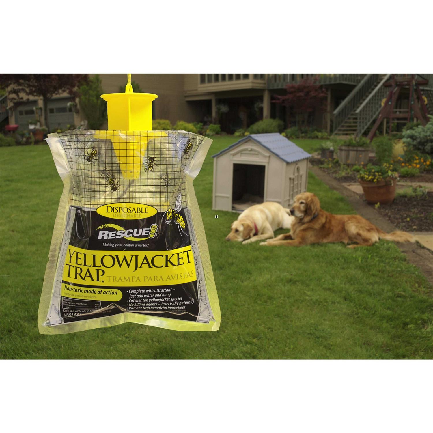 Rescue Disposable Yellowjacket Trap - Image 2