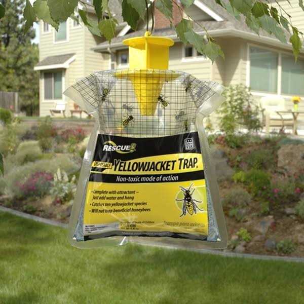 Rescue Disposable Yellowjacket Trap - Image 3