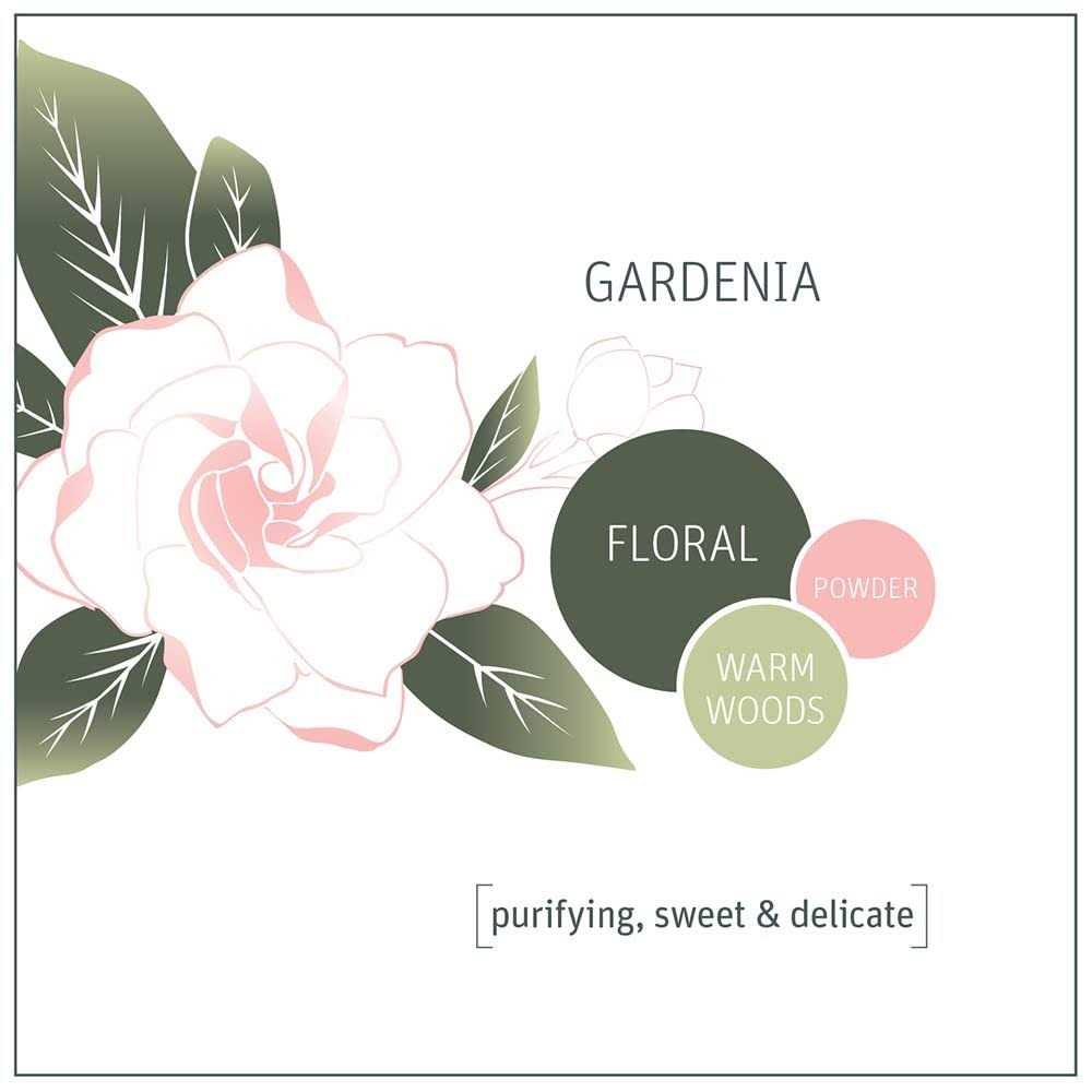 3 in 1 Laundry Detergent Pods Grab Green - Image 2