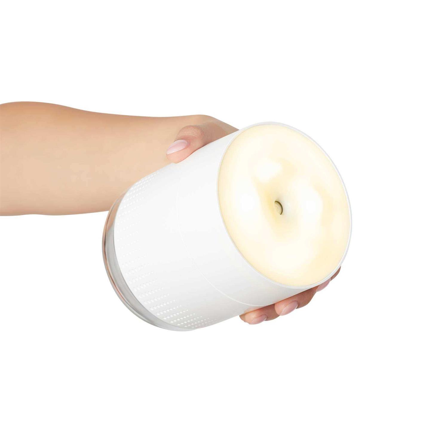 Plum Beauty Plum Portable Derma Beauty Humidifier Tool - Image 2