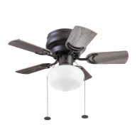 Prominence Home Hero 28 in. Ceiling Fan with Light