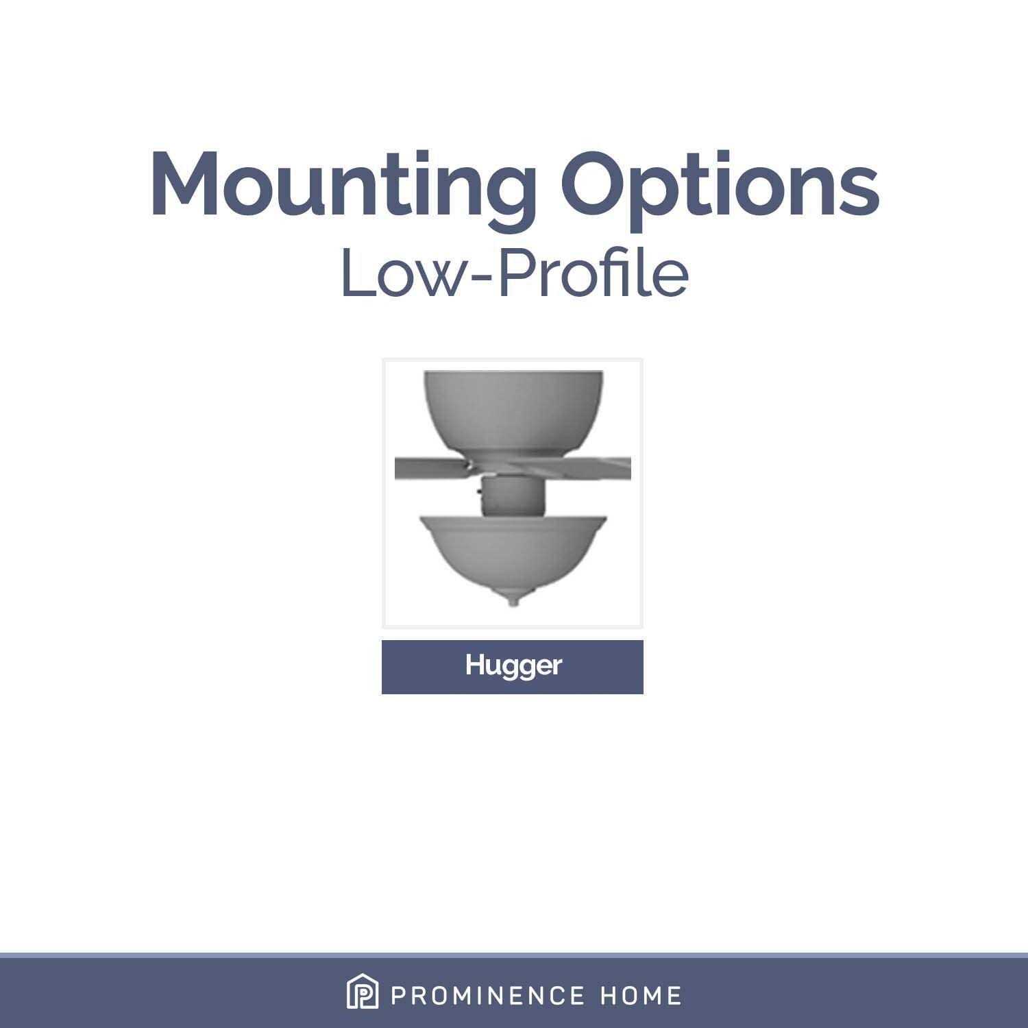 Prominence Home Hero 28 in. Ceiling Fan with Light - Image 4