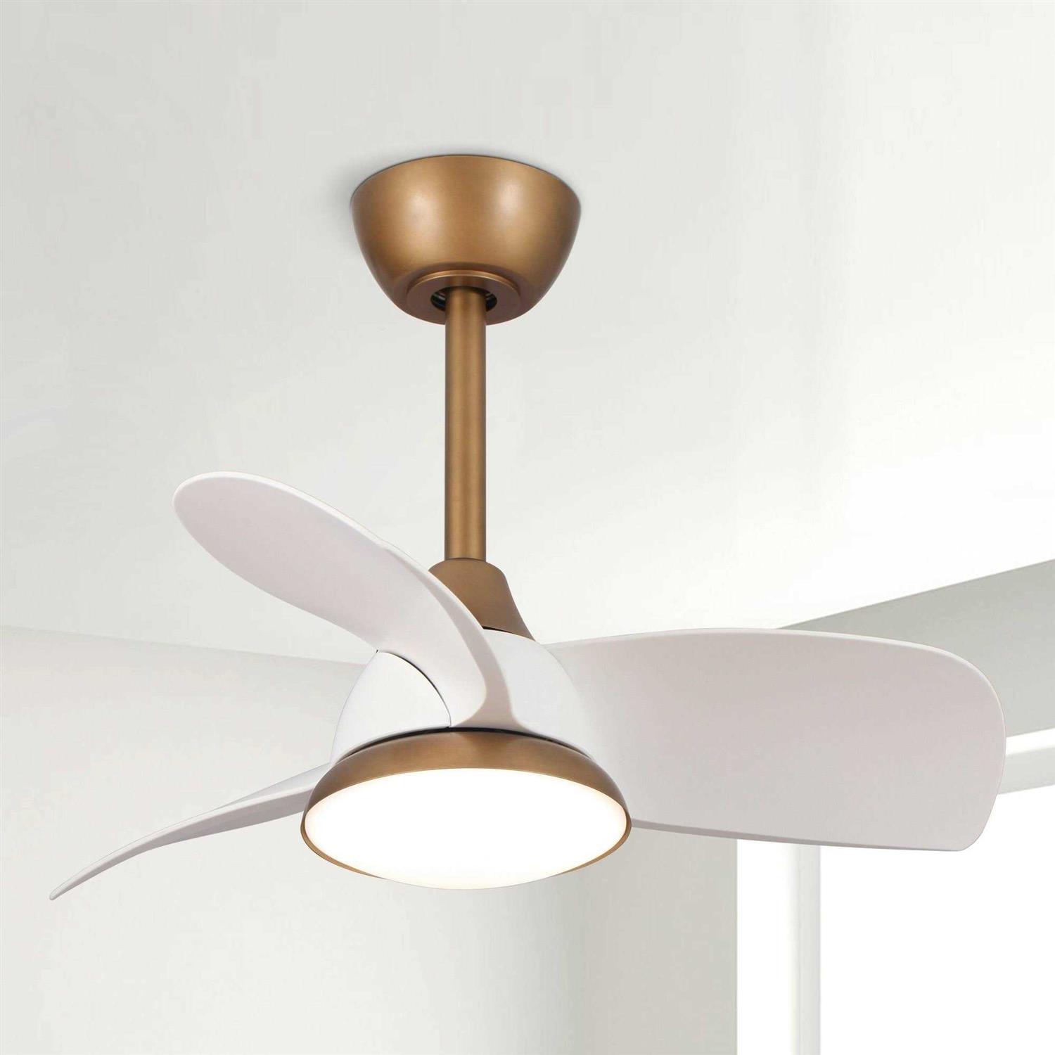 Parrot Uncle 28 Dimmable LED Ceiling Fan with Light and Remote