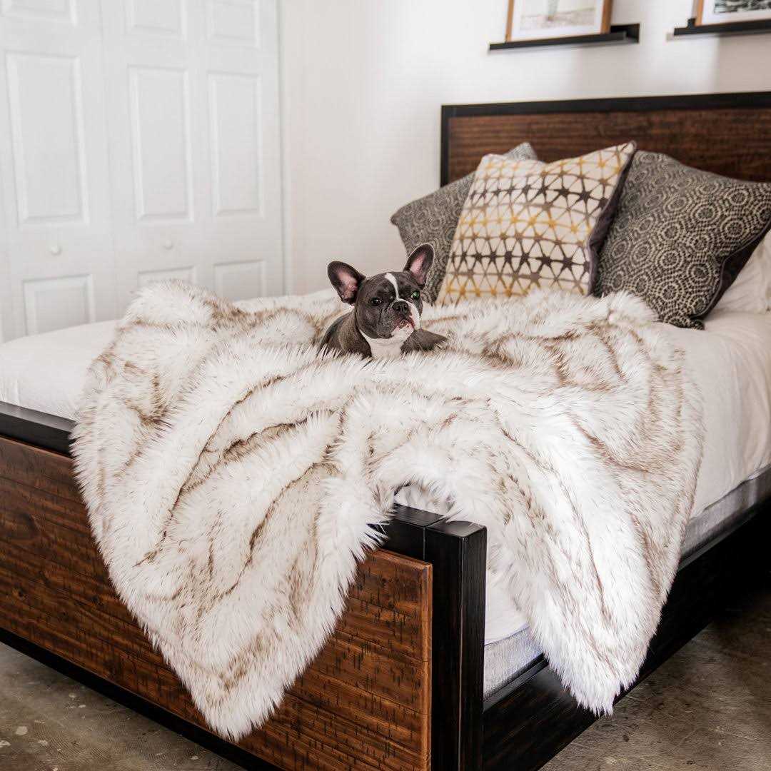 Paw PupProtector Waterproof Throw Blanket - Image 3