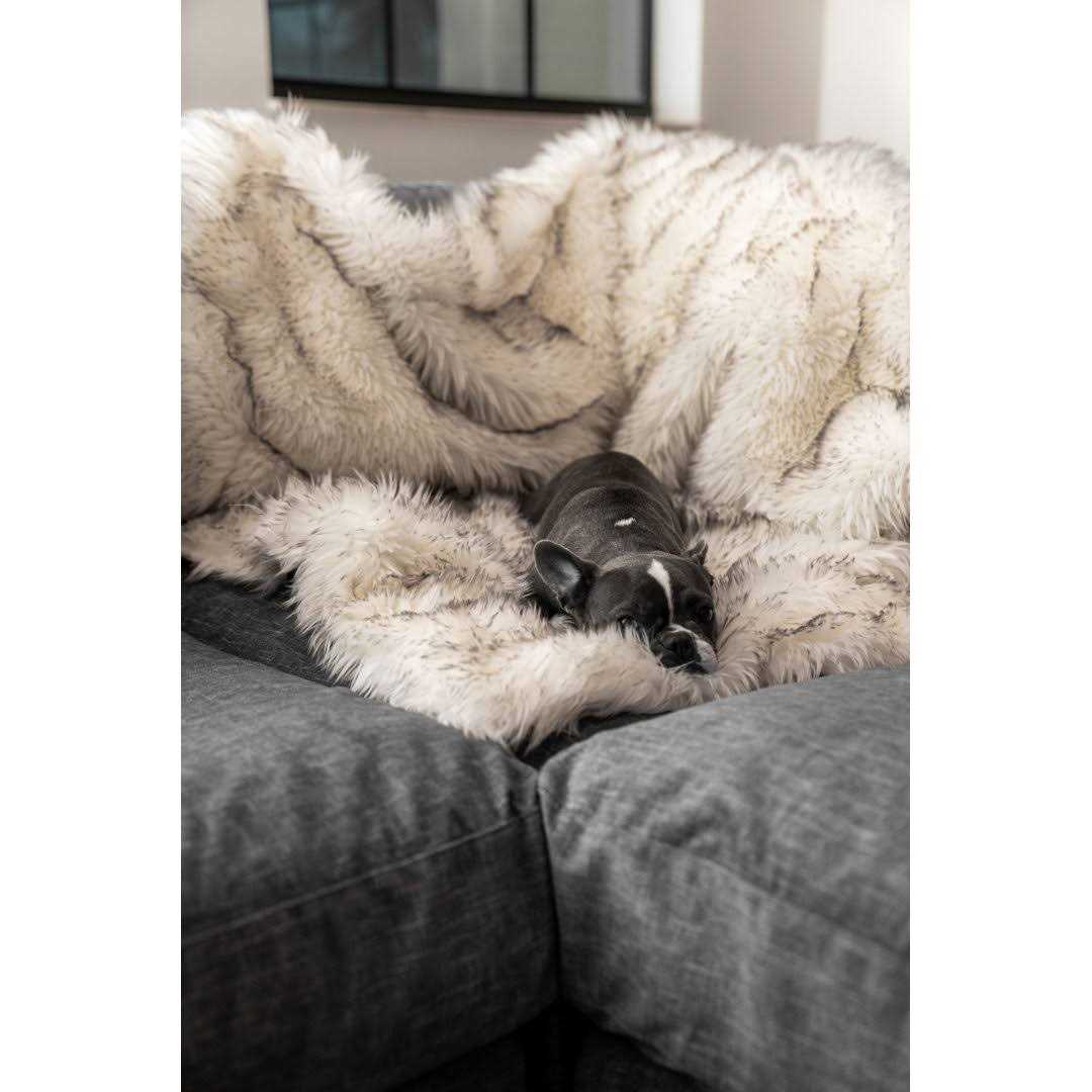 Paw PupProtector Waterproof Throw Blanket - Image 4
