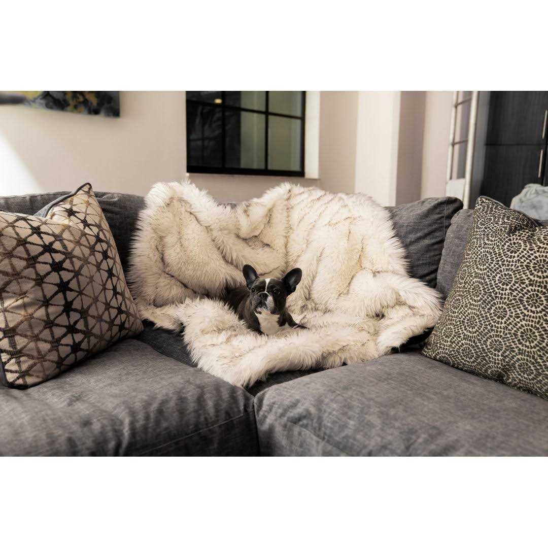 Paw PupProtector Waterproof Throw Blanket - Image 5