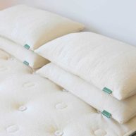 Avocado Green Pillow Standard