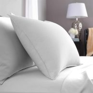 Pacific Coast Feather Down Pillow