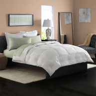Pacific Coast Comforter Down