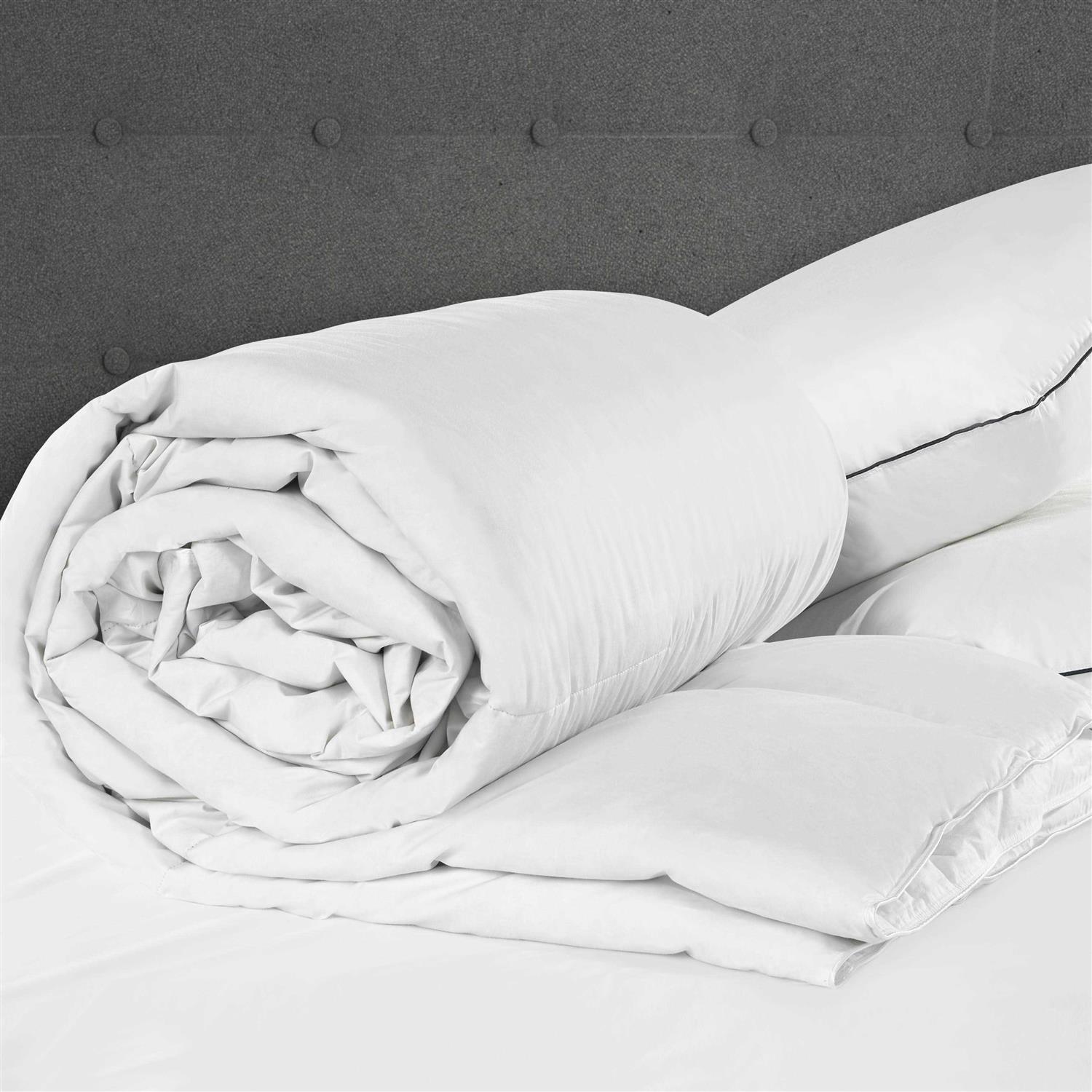 Pacific Coast Comforter Down - Image 5