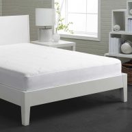 Bedgear Dri-Tec Mattress Protector