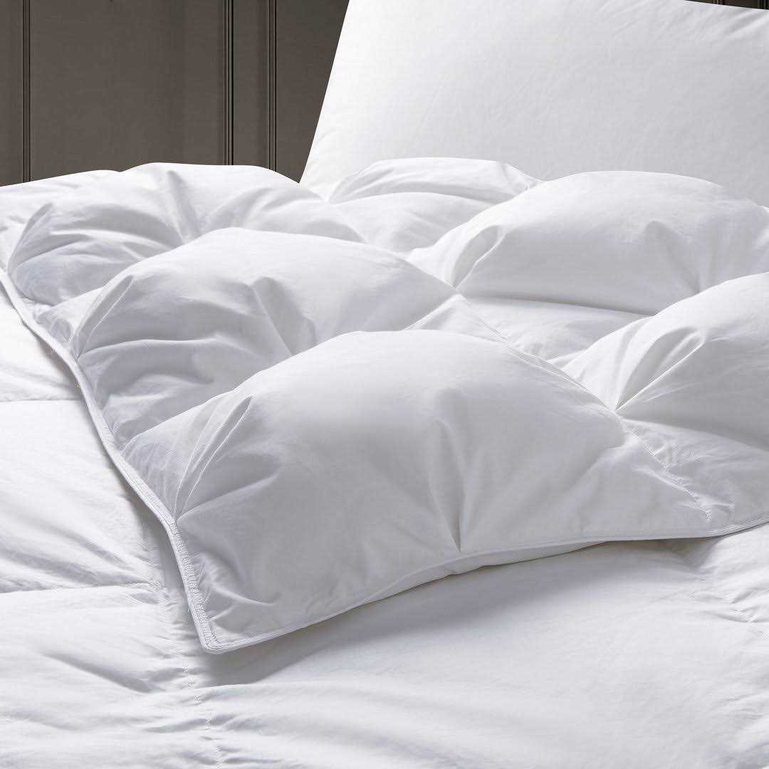 Alwyn Home 800 Fill Power Winter Goose Down Comforter - Image 4